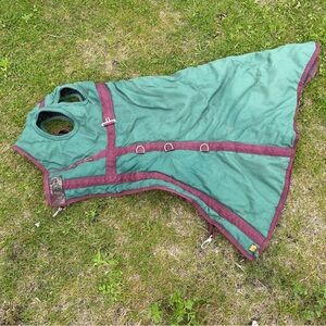 Insulated winter hood for horse blanket